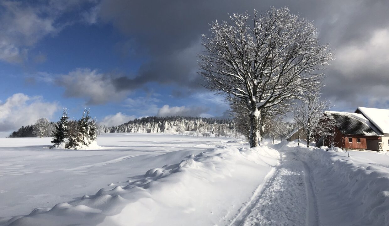 Kopie souboru IMG_4571