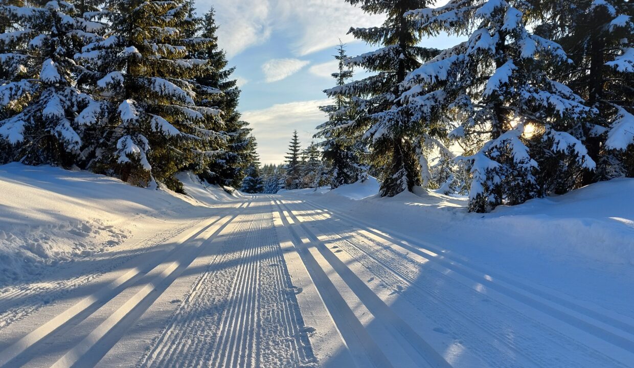 Kopie souboru bezky_stopa2