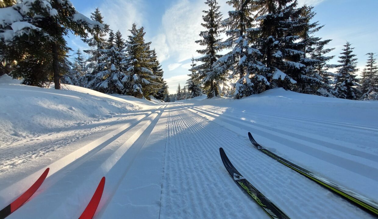 bezky_stopa_lyze2(1)