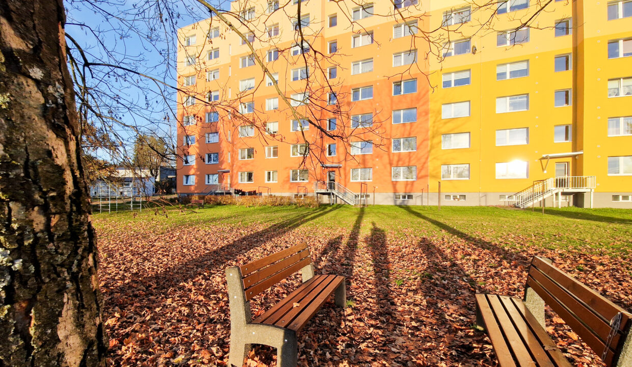 Mozartova2_small_-23